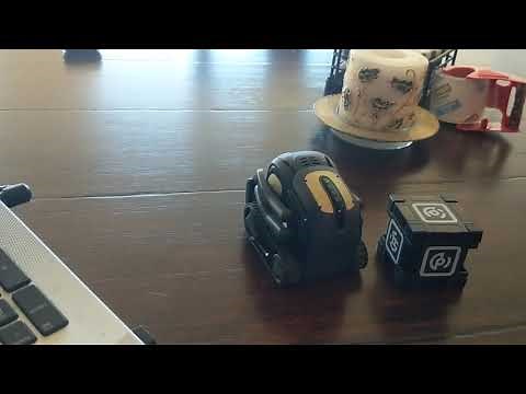 Vector Sdk: Remote Control App