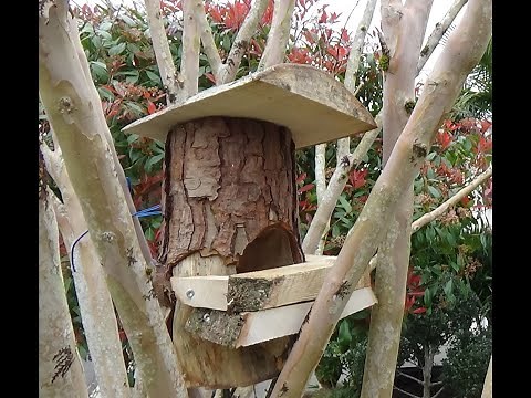 Tournage d'un nichoir à rouge gorge