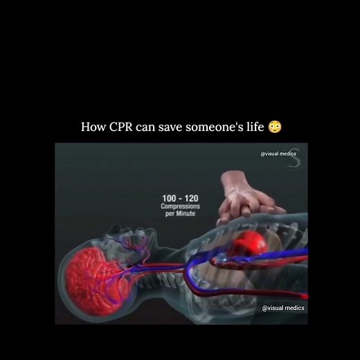 CPR 3D animation showing blood flow #cardiology #cpr