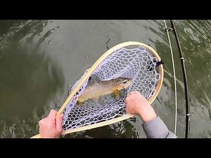 Driftless Region Fly Fishing: Fast action on streamers, nymphs and dry flies