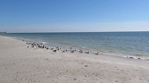 70 reactions · 4 comments | Another day in Paradise | Welcome to Florida | Facebook