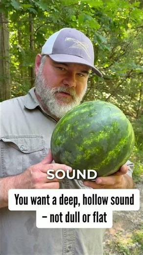 How to Pick a Ripe Watermelon Every Time