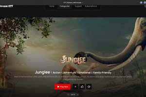 Online Video Streaming Solution as an Aggregator