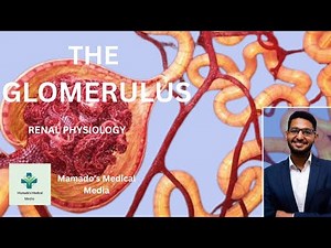The Glomerulus in 4 Minutes: What Every Med Student Should Know | Renal Physiology