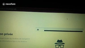 Miscre-ant! Man finds insect walking around INSIDE his laptop