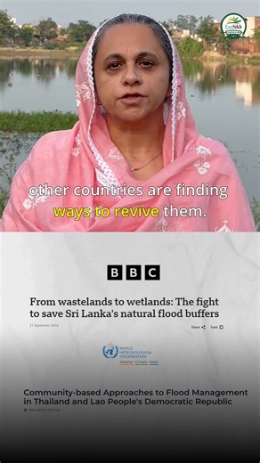 Guru Nanak Sacred Forests, grown with the Miyawaki method, act as natural sponges - soaking rainwater, strengthening soil, and protecting riverbanks. ✅ 65% faster water absorption ✅ 10X faster growth than conventional plantations ✅ 1250 forests already planted by EcoSikh Miyawaki forests are proving their power worldwide. 🌍 Japan has Miyawaki forests planted along rivers to absorb excess water and prevent floods. ✨ Punjab too can adopt these proven solutions. 💚 Plant a Guru Nanak Sacred Forest