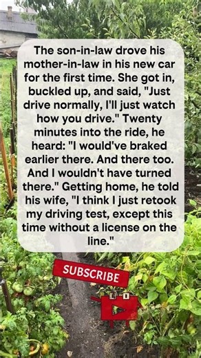 Test-Driving the Mother-in-Law #funny #comedy #jokes #laughs #humor