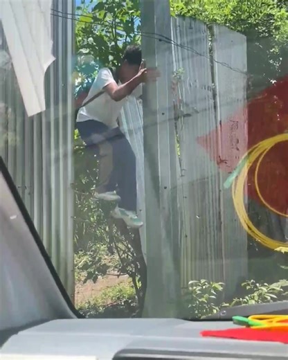 favorite subject niya yan | Random Trends