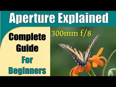 Aperture Explained: A Complete Guide for Beginners ep.364
