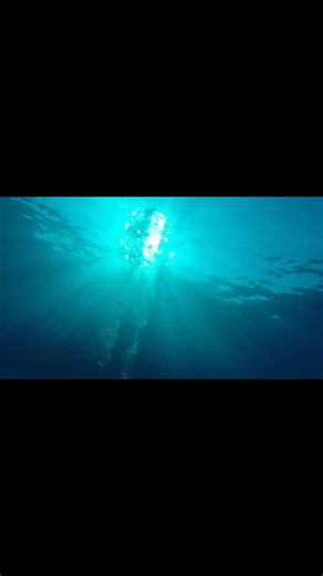 #underwaterworld #scubadiving #scubanyc #scuba #underwaterlife #scubatravel #breatheforwellness #scubaisfun @reydiving | Rey Diving