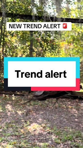 New Trend Alert: Soft slowed trend #softslowedtrend #newtrendalert
