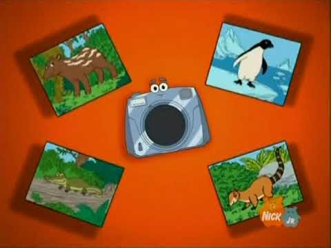 Click Little Kinkajou Is In Beehive Trouble