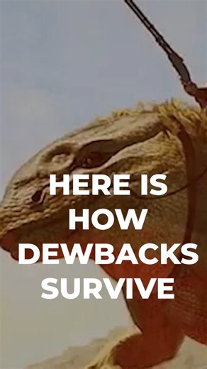 How Dewbacks Survive on Tatooine #starwarsscience #starwars