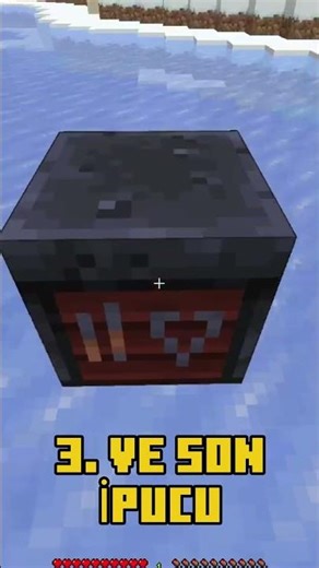 Bu MİNECRAFT bloğunu TAHMİN Edebilirmisin?