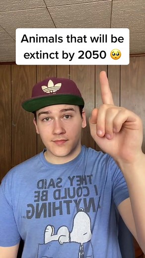 Endangered Animals Facing Extinction by 2050