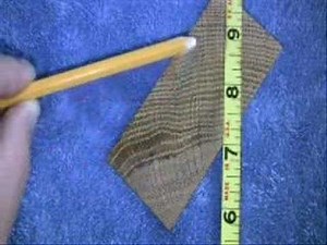 understanding & Reading Tree Rings