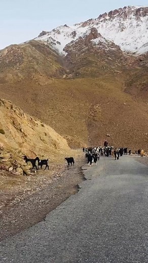 53 reactions | Beautiful Morocco ❤️ | Morocco Tours | Facebook