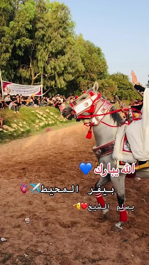 #يربح_من_يصلي_عن_النبي🌙 #بسم_الله_مشاء_الله_وربي_يبارك🤲🏻🧿❤️‍🔥 #نادي_الحريه_للفروسيه_مصراته❤️ #الجواد_المحيط_الفارس_سالم_البيبي_❤️🔥 #يسلم_الشيخ_وحصانه❤️ #مشاءالله_تبارك_الرحمن🌿❤️ #مصراته_الصمود🇱🇾🇱🇾🔥😌 #السكت_مصراته❤️🔥