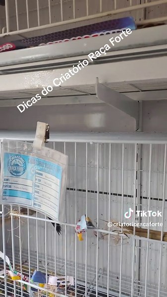 Criar é Preservar: Aceitação da Lua no Criatório