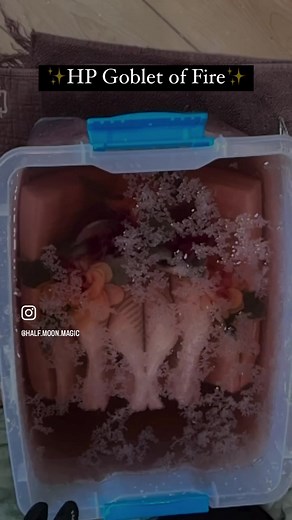 This is going to be a very special Xmas gift for my cousin’s kiddo and I am so excited with how it turned out! The even crystallization and fantastic sparkle!!!! DM me for commissions and check out my shop at the link in bio ✨📚✨ . . . #crystallizedbook #crystallizedbooks #crystal #crystals #crystalbook #crystalbooks #crystalgram #recycledart #recycledbook #crystallover #booklover #bookworm #bookstagram #booktok #bookish #bookaesthetic #bookaesthetics #bookishbounds #witchyvibes #witchy #harrypo