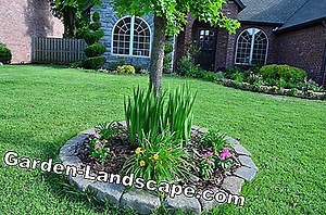 Other: Create shade garden - That's how it's done | 2025