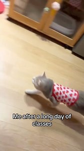 2.5K views · 21 reactions | FACTS  #ucr #ucriverside #collegelife | UC Riverside | Facebook