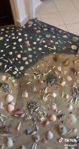 #puertopeñasco #mexico #seashells