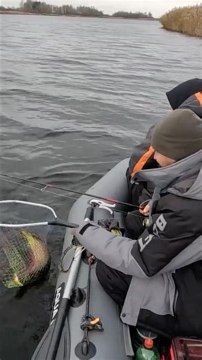 Trolling, pike #fishing #boat_fishing