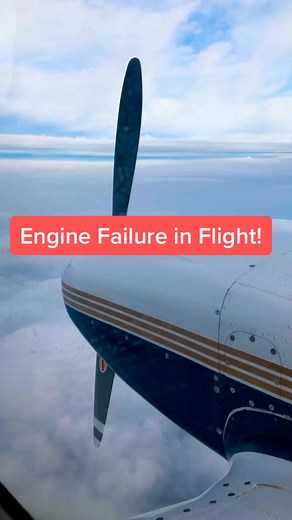 thirdculturepilot on TikTok