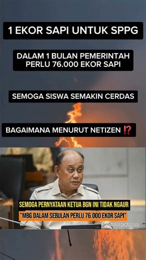 KETUA BGN ; DALAM SATU BULAN PEMERINTAH PERLU MENYIAPKAN 76.000 EKOR SAPI UNTUK MBG