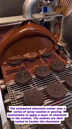 Chocolate Coating Revolution: Exploring Automated Confectionery Production Technology