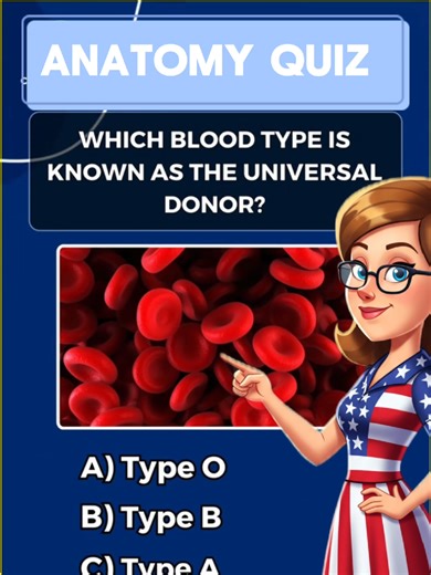anatomy quiz for preschoolers #foryoupage #fyp #foryou #quiz #quiztime #generalknowledge #goodtoknow #triv #anatomy #preschool #quizz #challenge