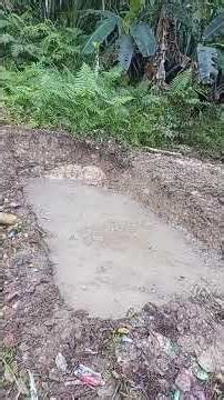 A future mini fishpond😊