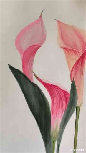 Floral Expressions A Journey Through Painted Gardens