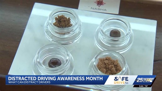 Beyond the cellphone: From cannabis use to ADHD, South Florida doctor talks causes of distracted driving