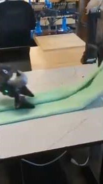 Model π₀: Physical AI that Performs Complex Tasks on Its Own from Physical Intelligence