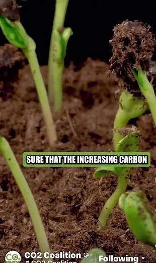 C02 is great for the planet, it’s heavy and sits low, feeding plants, plants who create oxygen, which we all need! Thoughts ? # | United Voice Australia