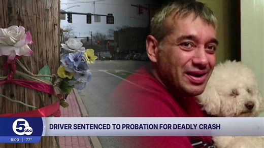 Driver who killed former TV journalist in car crash gets probation