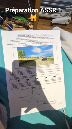 ASSR 1 ( preparation )