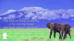 304K views · 3.2K shares | A quote by Albert Einstein that is still relevant today. | Albert Einstein | Facebook