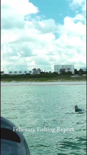 6.9K views · 147 reactions | The February Fishing Report is here!...