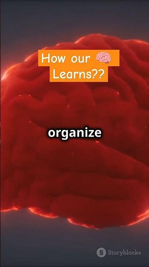 How Your Brain Actually Learns! 🧠✨ #BrainScience #LearningPower