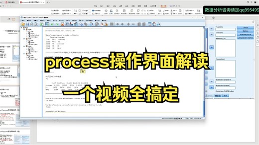 一个视频了解process操作界面