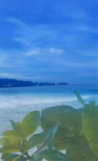 Beach Wave Bundles#travel#nature#shorts