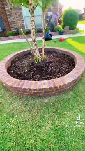 Brick tree ring