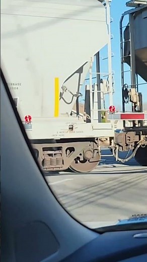 I Saw This Cool One CSX Paint Job #railfanning #train