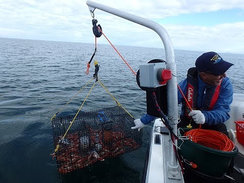 Shrimping Strait of Juan de Fuca