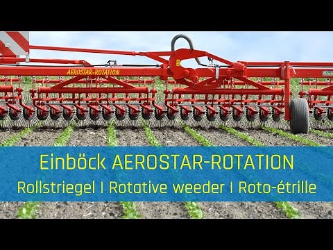Rotative weeder - EINBÖCK AEROSTAR-ROTATION