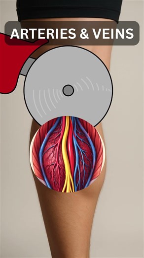 What’s REALLY Inside Our Calf? 🦵😳