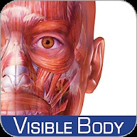 「Muscle Premium」 - Androidアプリ | APPLION